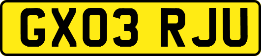 GX03RJU