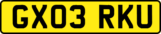 GX03RKU
