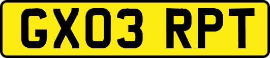 GX03RPT
