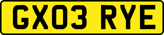 GX03RYE