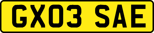 GX03SAE