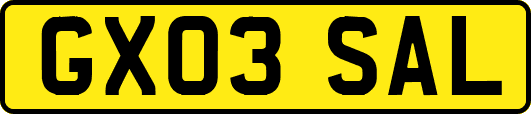 GX03SAL