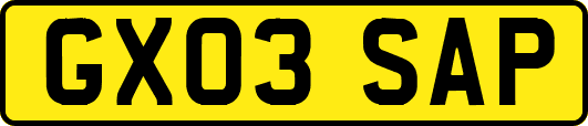 GX03SAP