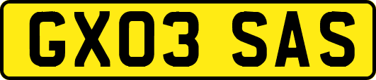GX03SAS