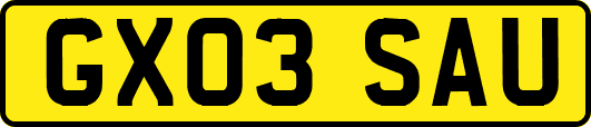 GX03SAU
