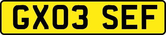 GX03SEF