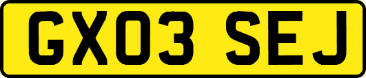 GX03SEJ