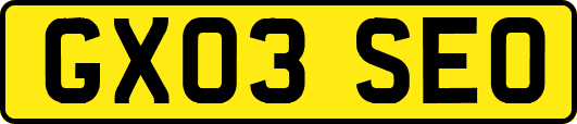 GX03SEO