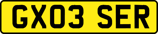 GX03SER