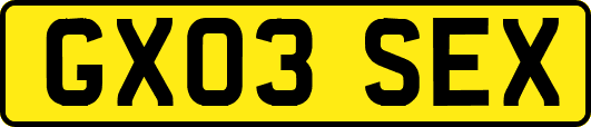 GX03SEX