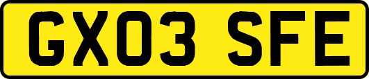 GX03SFE
