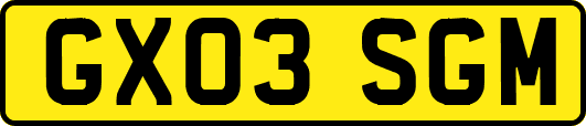 GX03SGM