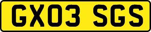GX03SGS