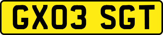 GX03SGT