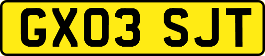 GX03SJT