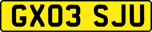 GX03SJU