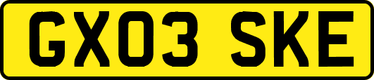 GX03SKE