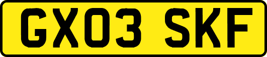 GX03SKF