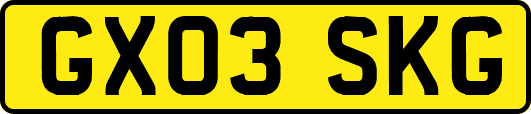GX03SKG
