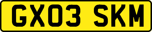 GX03SKM