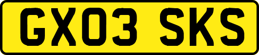 GX03SKS