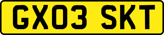 GX03SKT