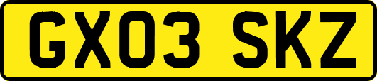 GX03SKZ