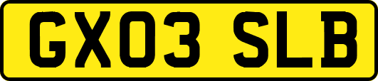 GX03SLB