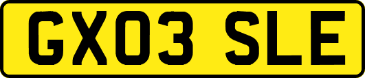GX03SLE