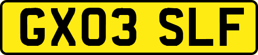 GX03SLF
