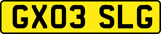 GX03SLG