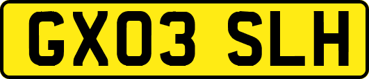 GX03SLH