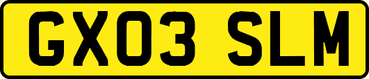 GX03SLM