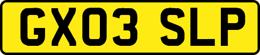 GX03SLP