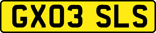 GX03SLS