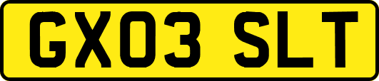 GX03SLT