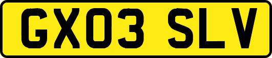 GX03SLV