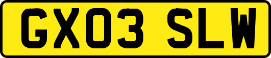 GX03SLW