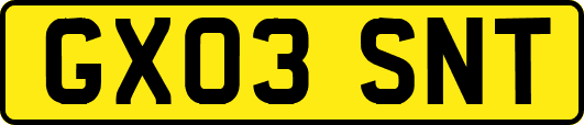 GX03SNT