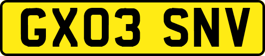GX03SNV