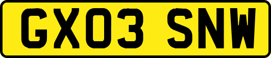 GX03SNW