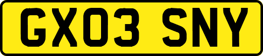 GX03SNY