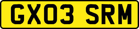 GX03SRM