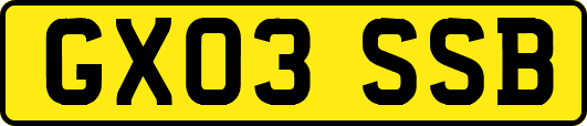 GX03SSB