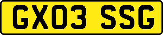 GX03SSG