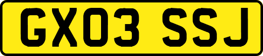 GX03SSJ