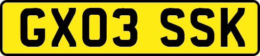 GX03SSK