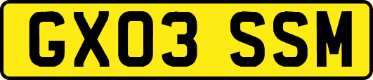 GX03SSM