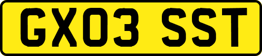 GX03SST