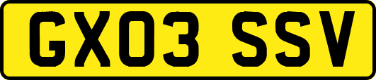 GX03SSV